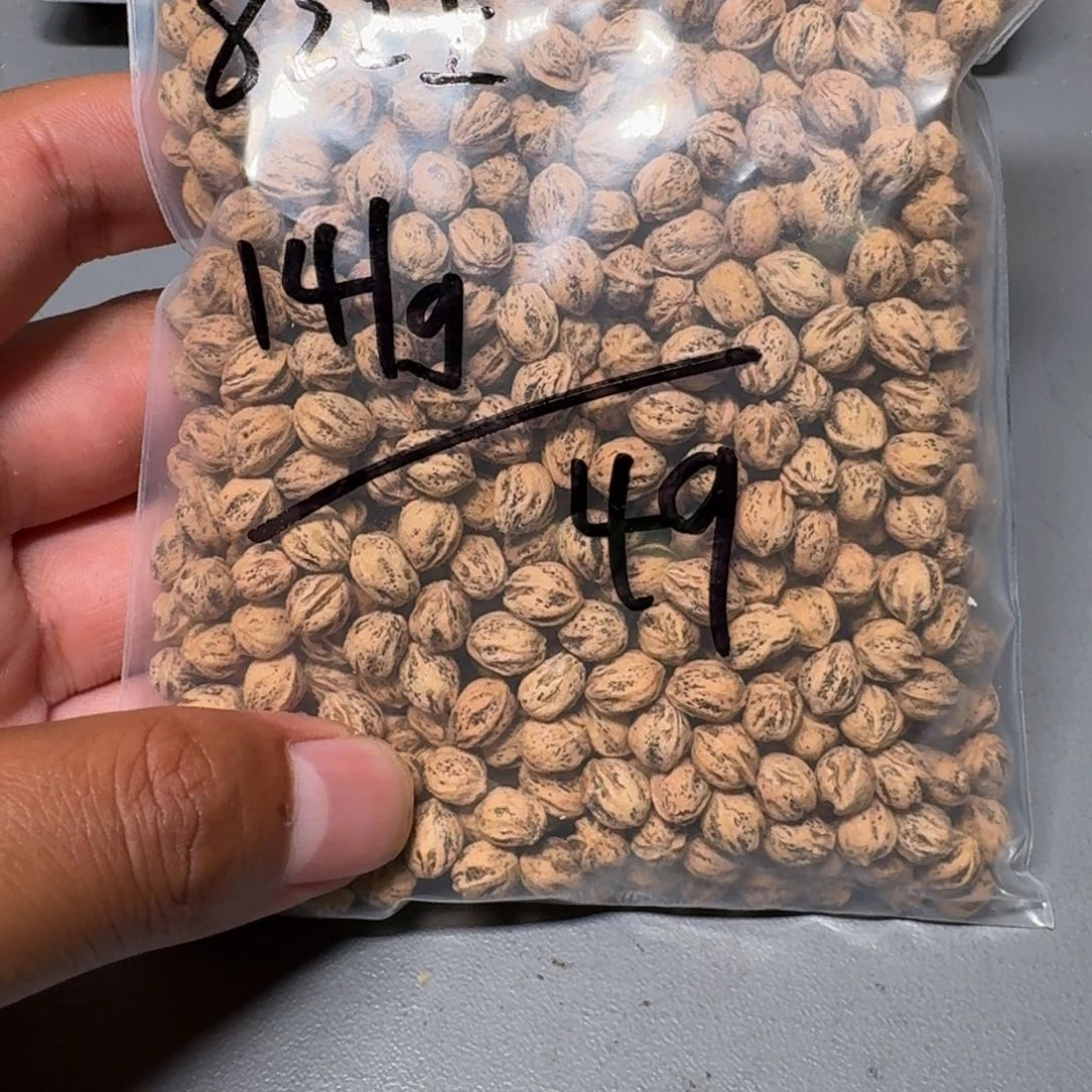柏香籽/百香籽吊坠十*。