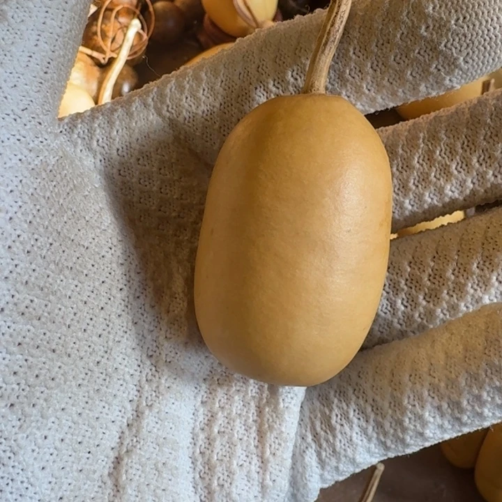 海***天葫芦888888888888