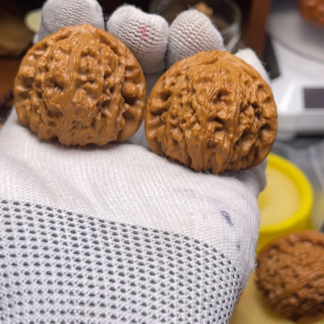 木质t*三角白白狮子全品