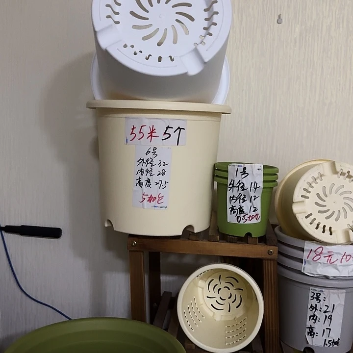 米黄6号口径32无托7个