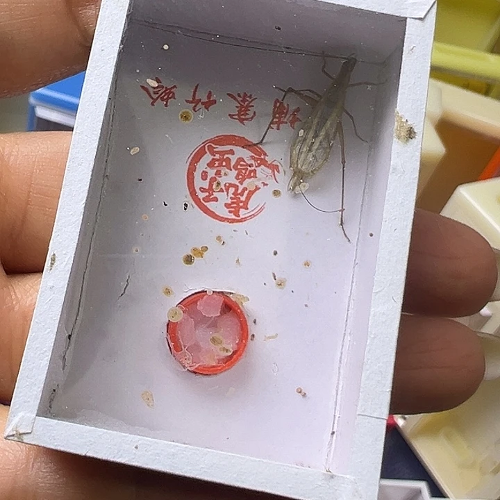 用***3哈哈哈哈哈哈哈哈哈哈哈哈