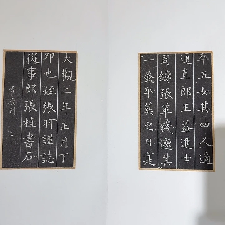 朱***室昌化石印石张夫人11111111