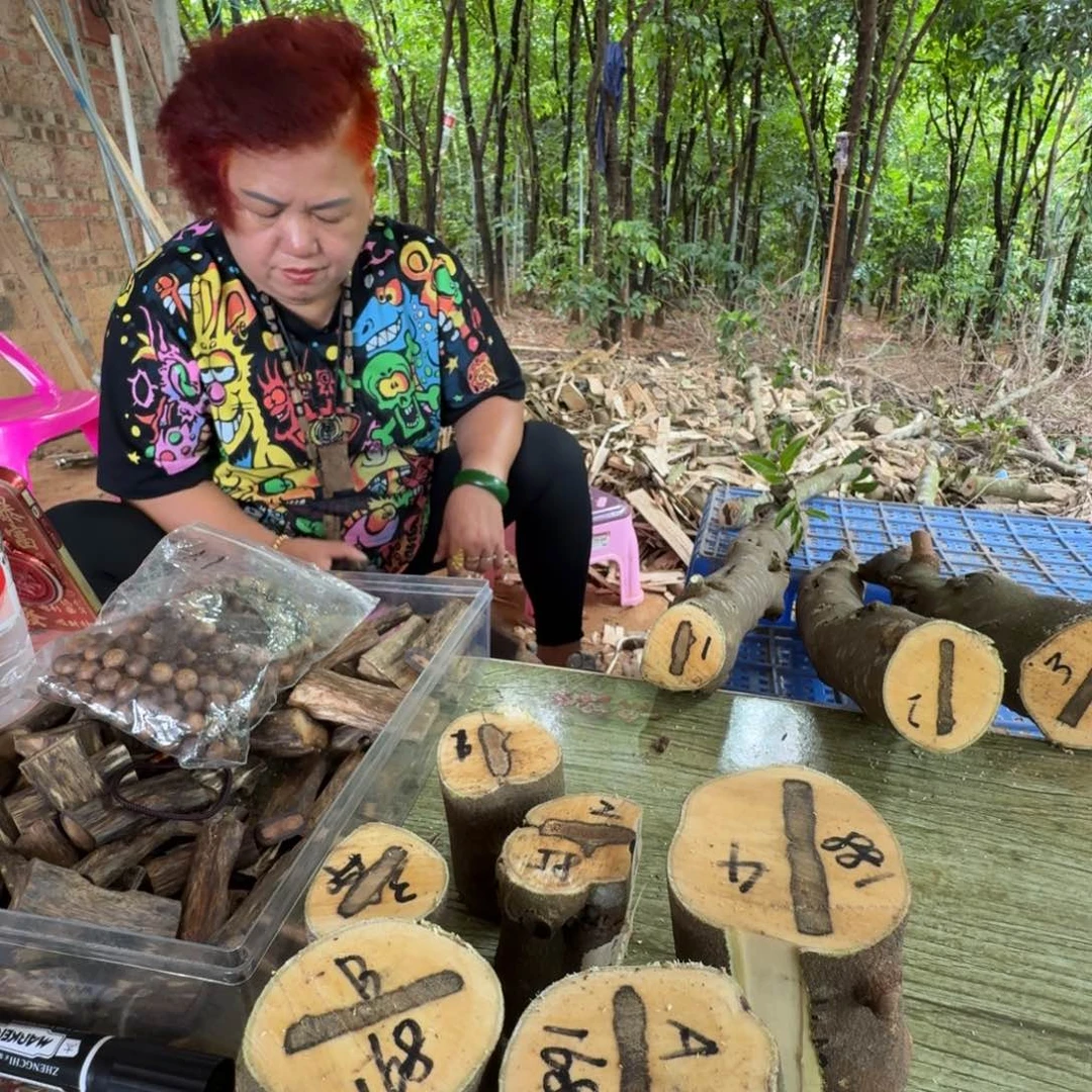 感***遇线香奇楠沉香原木