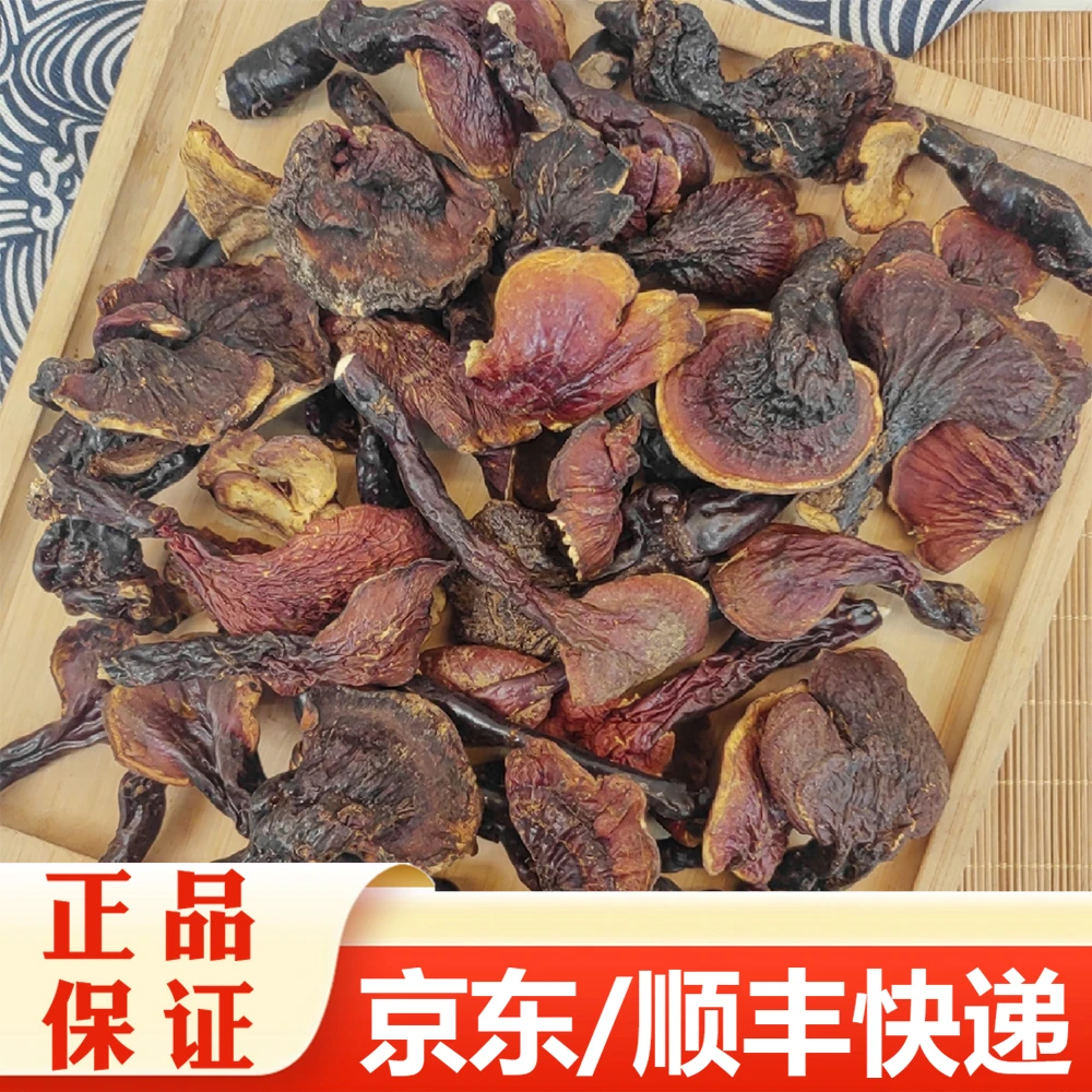 【精选】西藏小灵芝