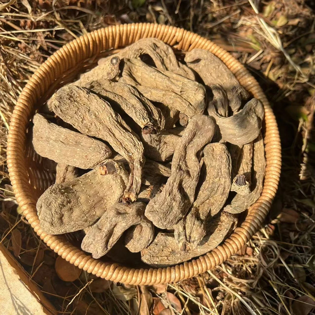 云南乌天麻 云南特产 煲汤 深山好货