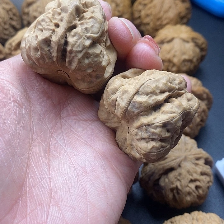 龙脊菩提吊坠蛙41