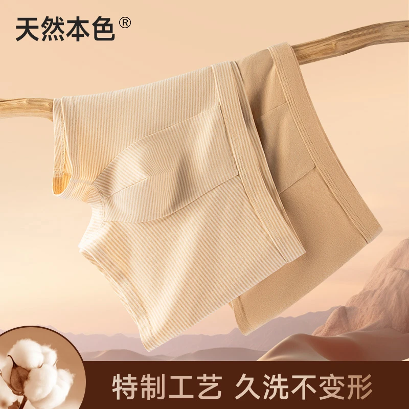 （2条装）A类男士天然彩棉内裤平角裤舒适透气无染色四角裤