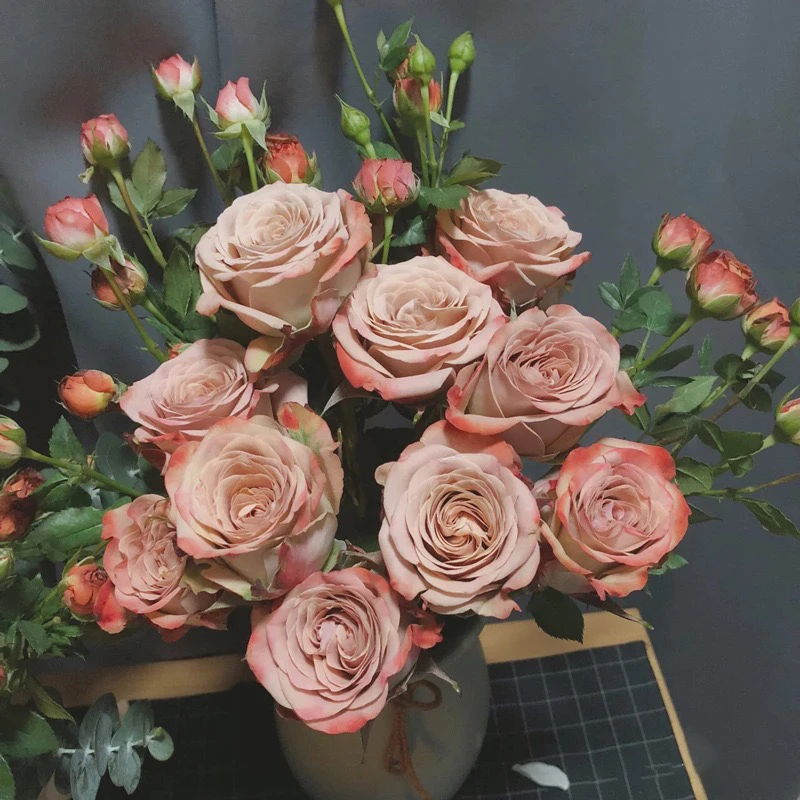 卡布奇诺8支+5支巧克力泡泡云南基地直发家用鲜花花束复古色系