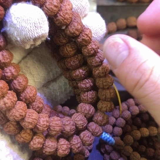 手串金刚菩提老树南瓜