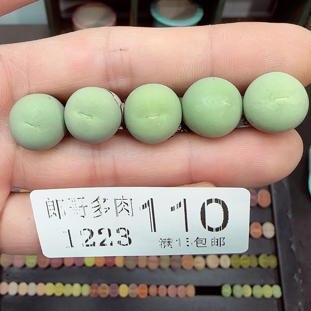 满满18包邮1223-110