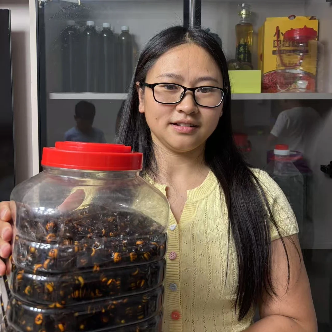 虎头蜂牛角蜂100只起拍虎头蜂酒虎头蜂泡酒