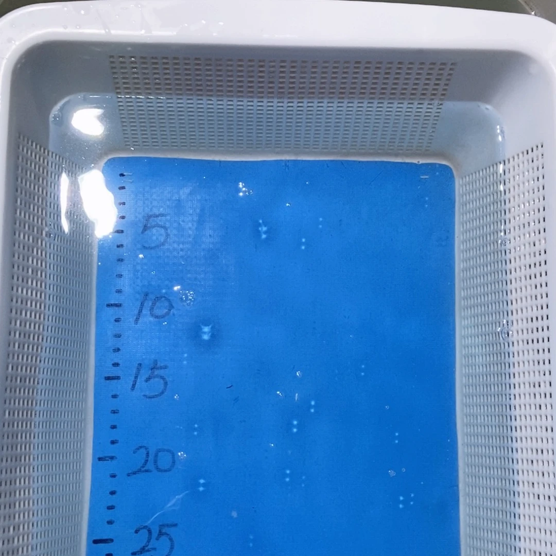 锦鲤锦鲤包邮包售后