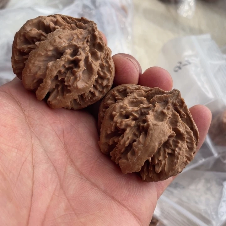 树脂制品秦岭老王核桃福利