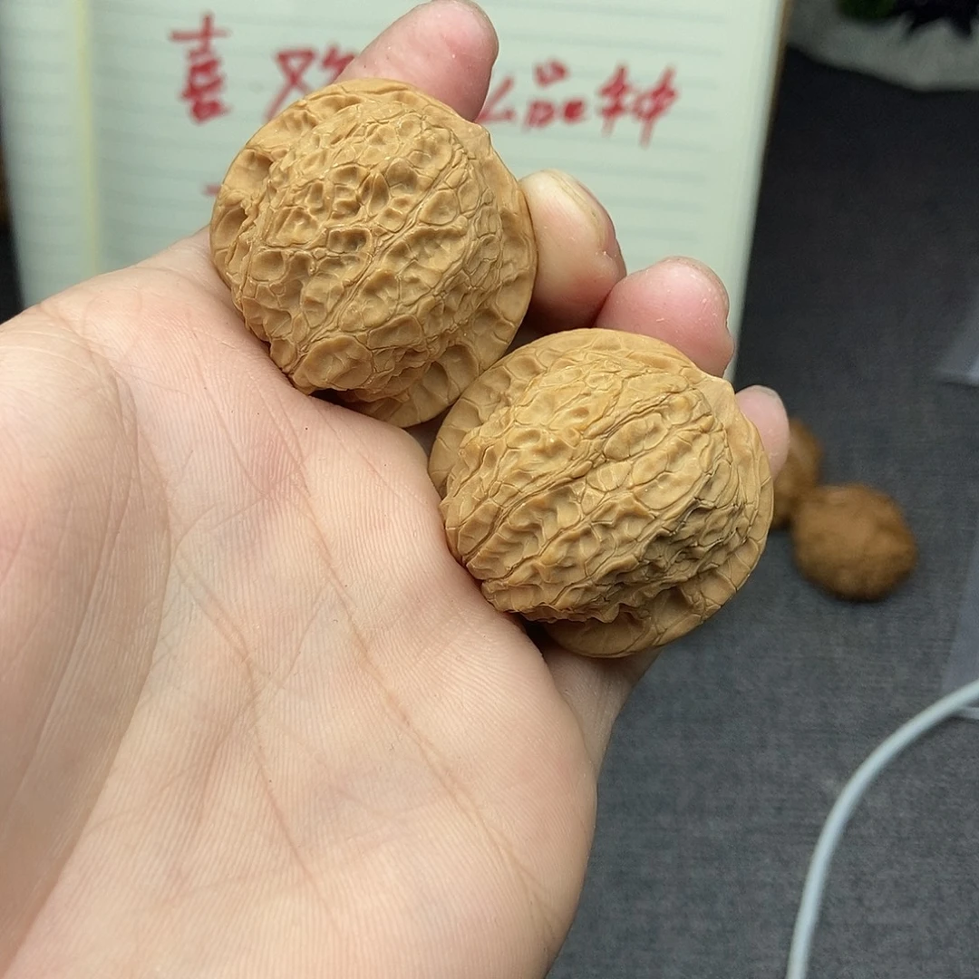 核桃血麒麟37尺寸编号073有黄尖不介意拍