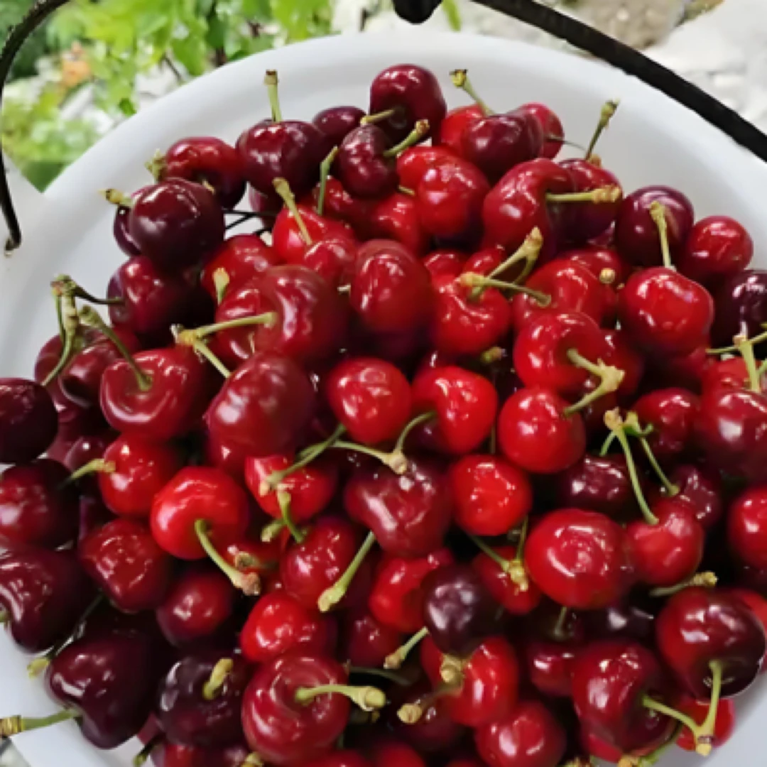 顺丰空运汶川车厘子甜樱桃黑珍珠冰壶露天现摘孕妇酸甜甜