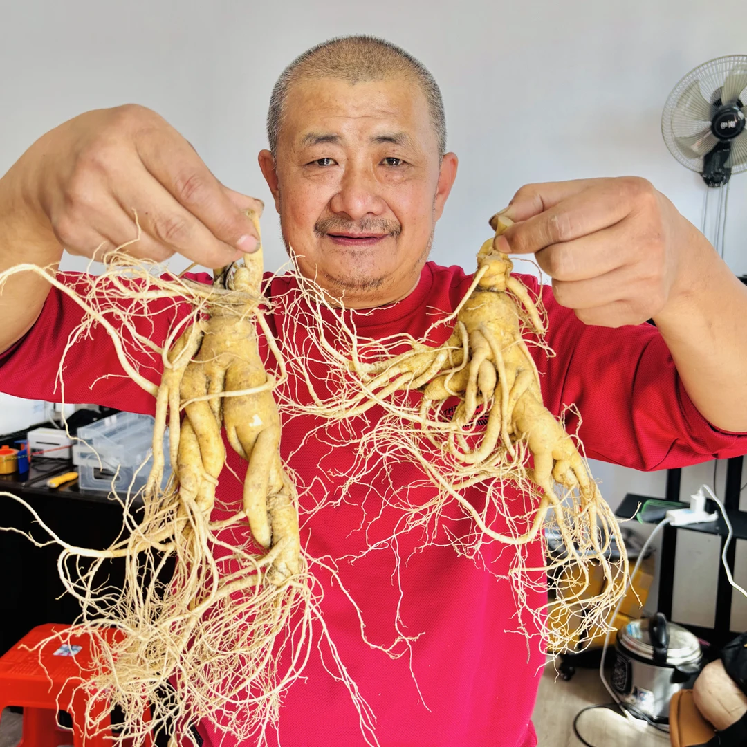 【书记推荐】 长白山特大号！新鲜人参农家土特产