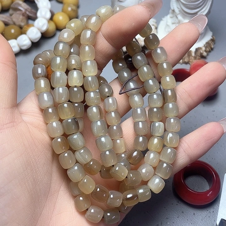 大果紫檀（缅甸花梨）