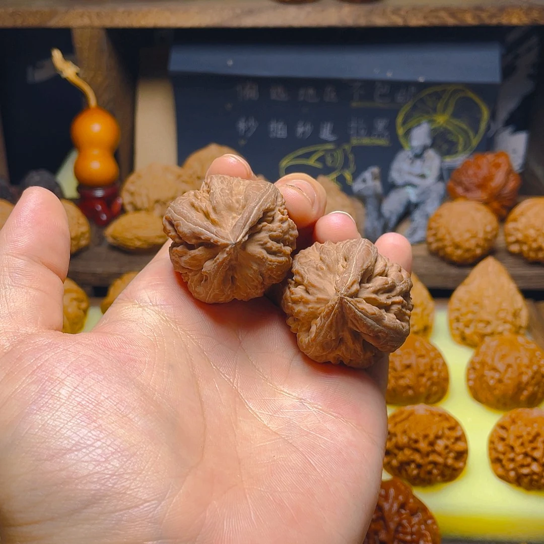 37尺全品霸王龙三棱