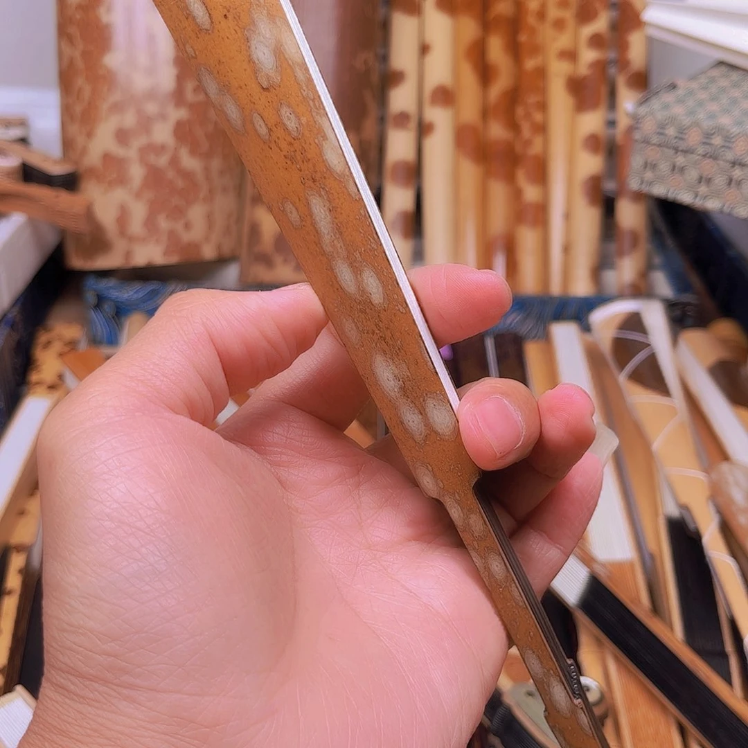 扇子?**S这么多年了还是要继续教育