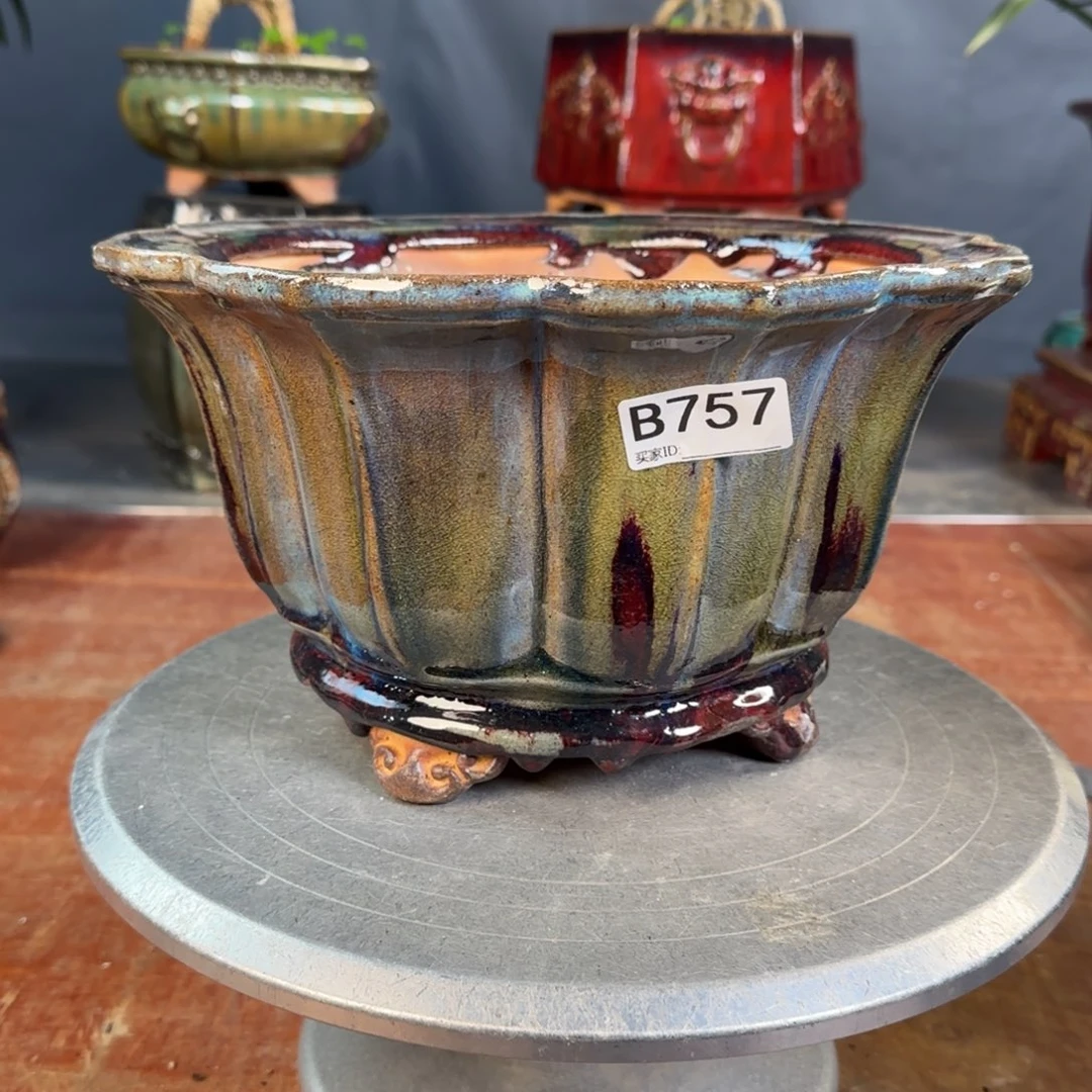 紫泥花盆君****社757