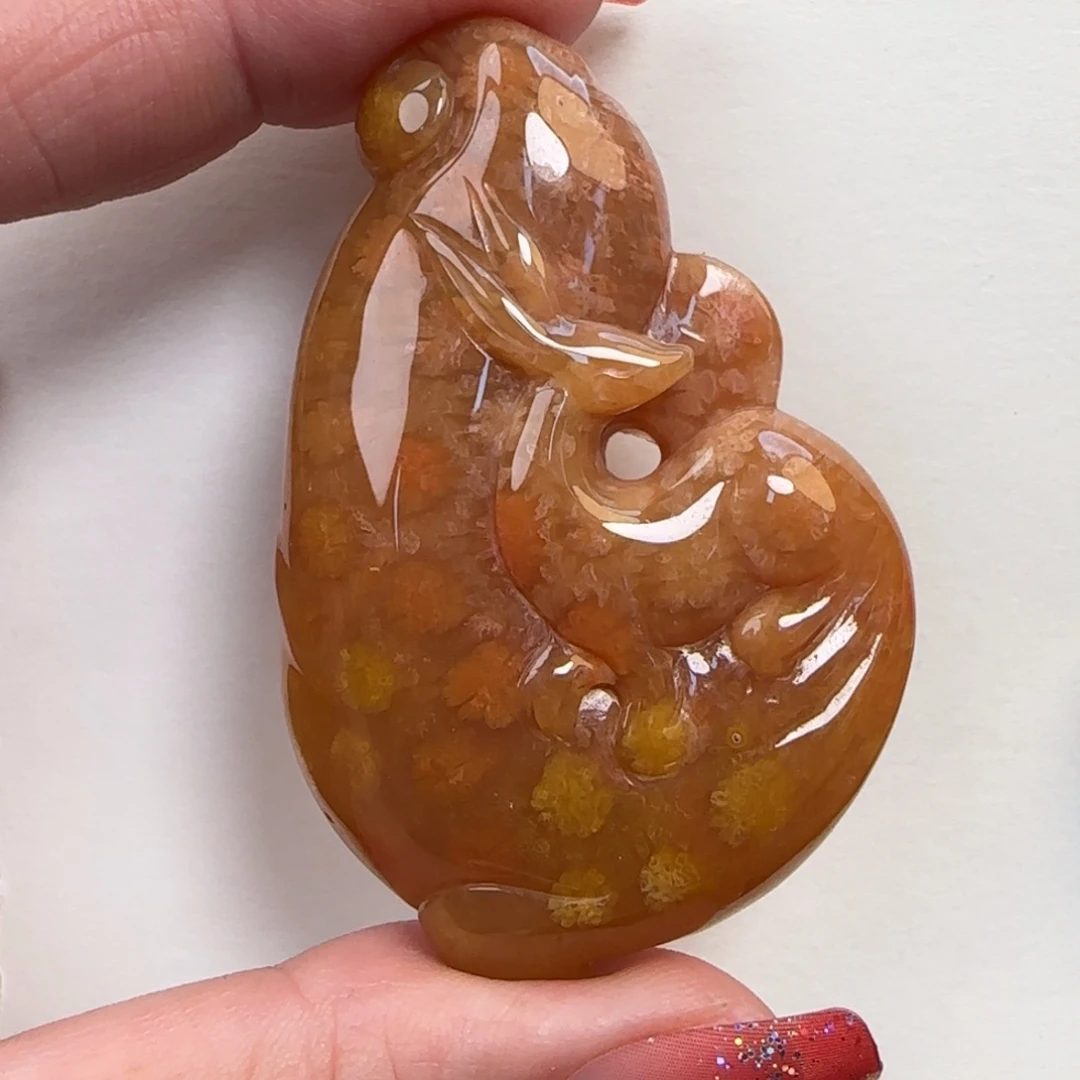 硅化珊瑚（珊瑚玉）未镶嵌颈饰