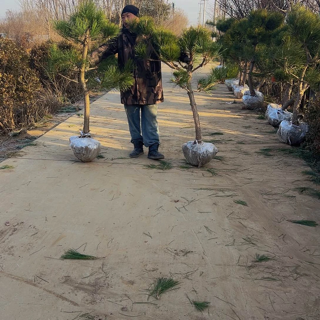 喝***酒888888888888888