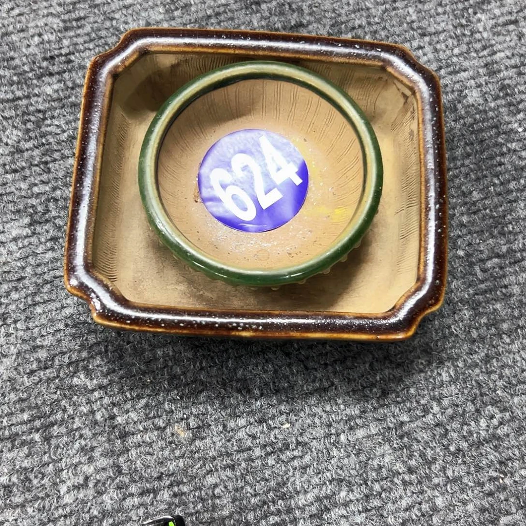唐***云对你的喜欢就如同这日子只增不减624