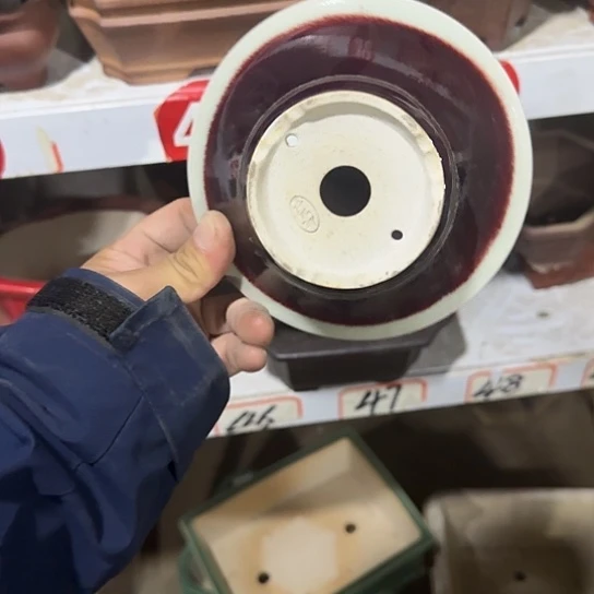 我不在这里吃饭你吃好没了啊不去