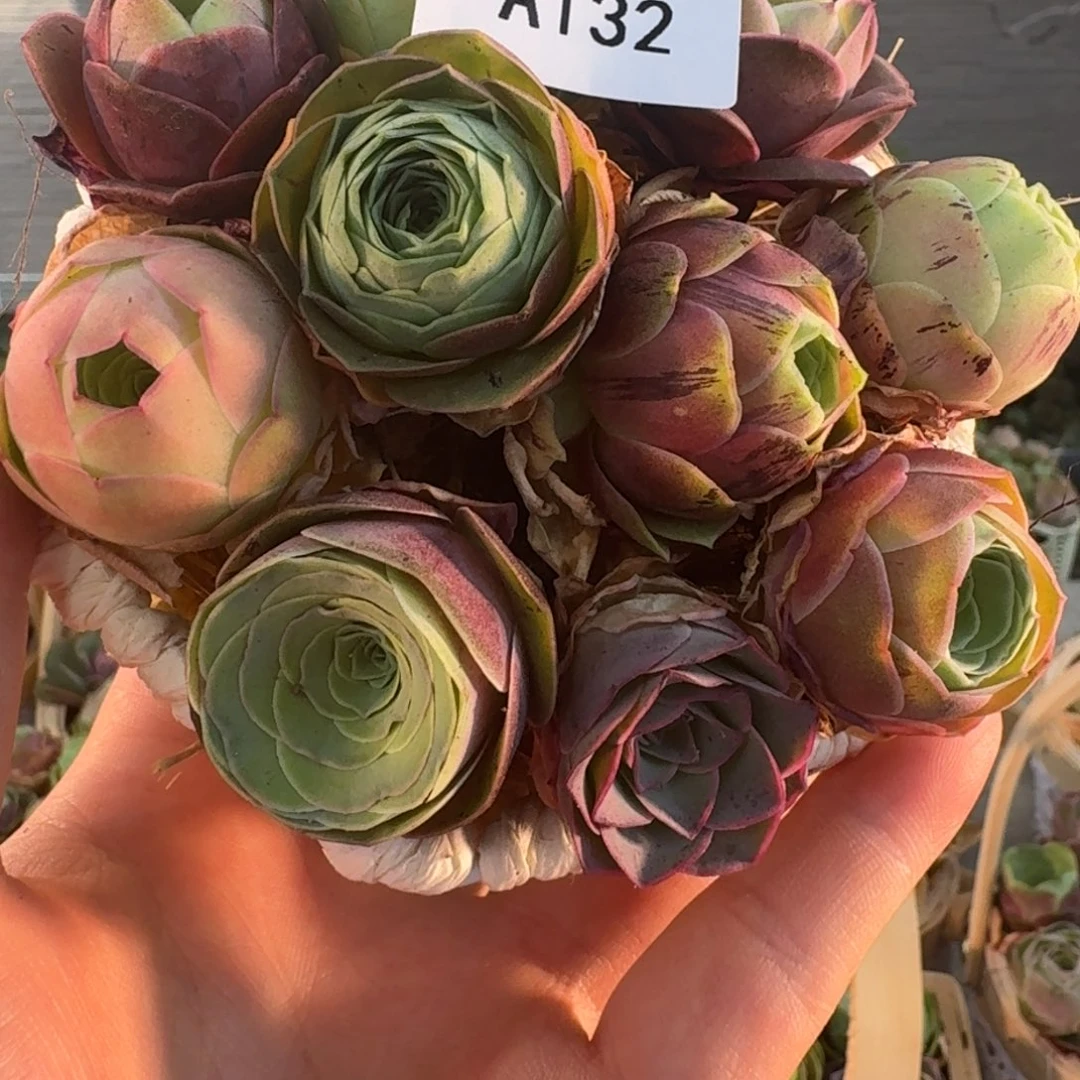 A132 玫瑰花篮组合