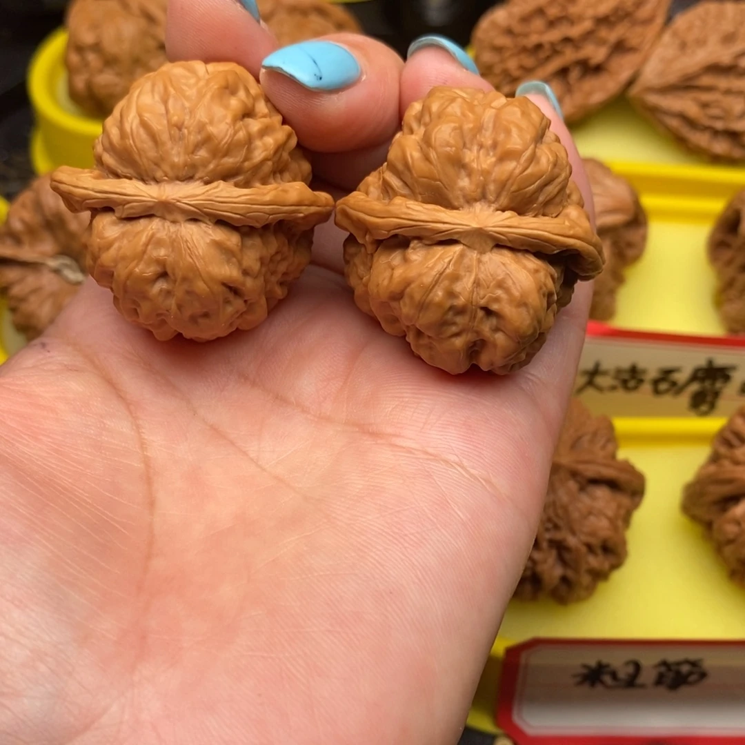 菩提籽类蛤蟆头头