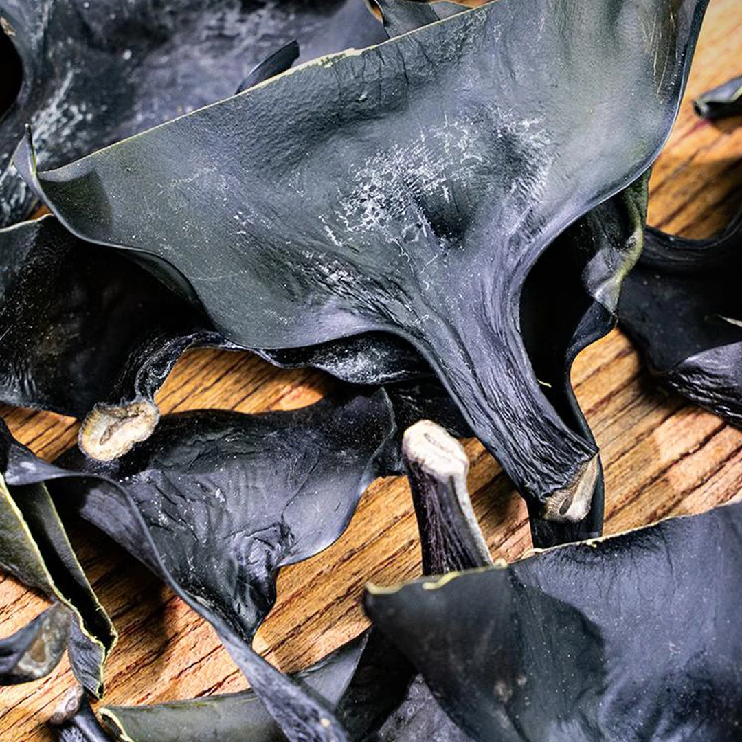 正宗源头福建特产霞浦干海带头炖汤自然日晒干货厂家直销