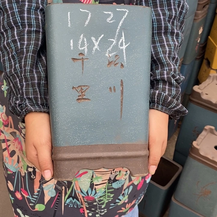 紫砂花盆只顾吃药睡个