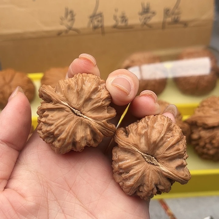 文玩核桃把件38+全品白狮子