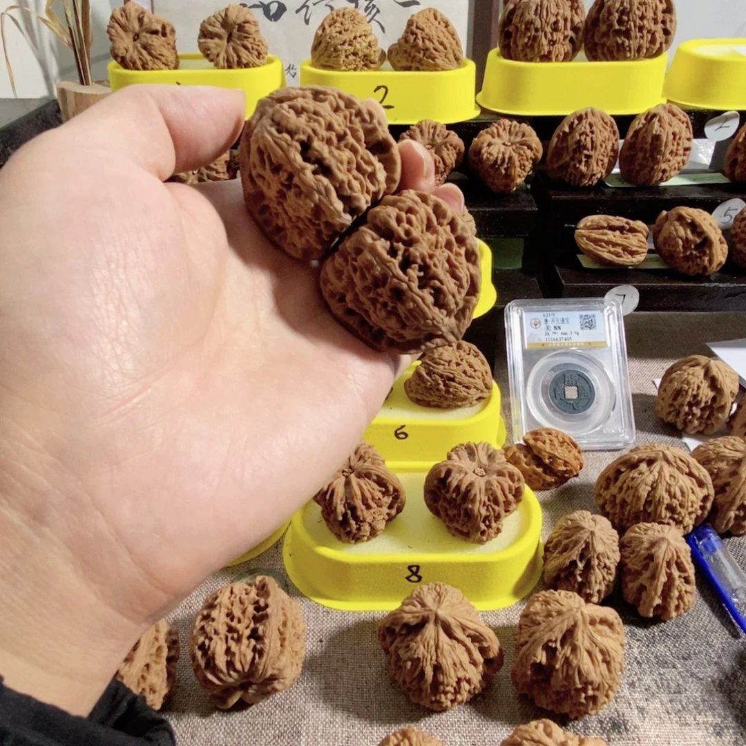 木质类南疆三角开背