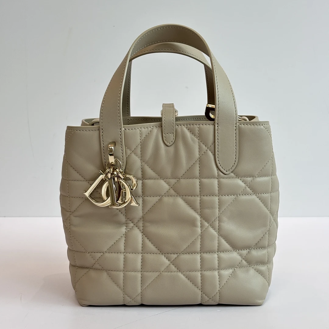 99新 DIOR/迪奥 新款竖版 toujours胭脂米金扣手提斜挎包  21326