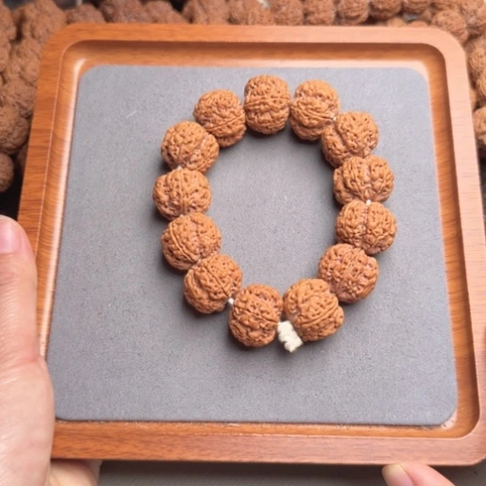 菩提14号尼泊尔大金刚23粗筋梅花