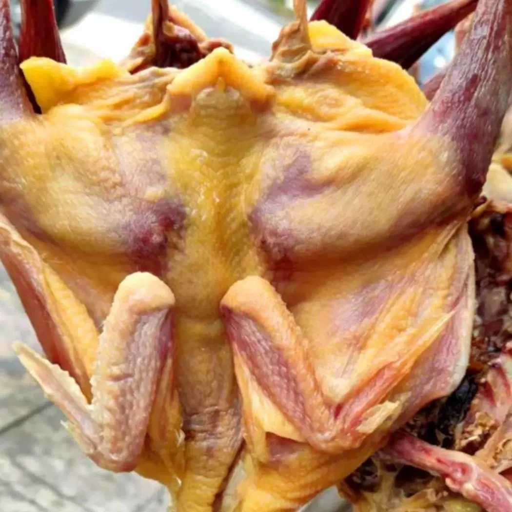 吉祥三宝，1只黑退鸡1只鸭子1只鹅农家散养手工腌制。