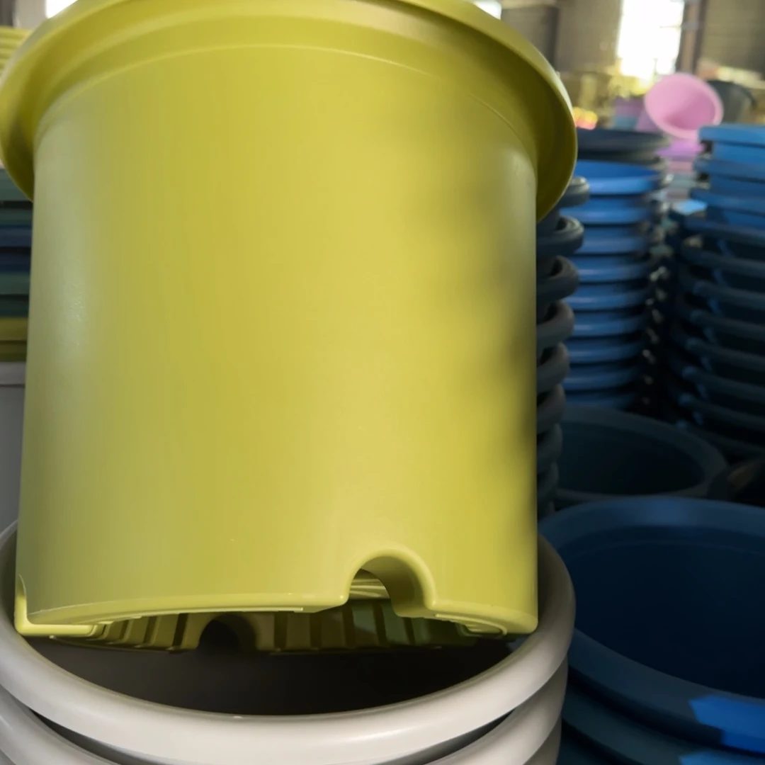 树脂特价6#无拖果绿7个