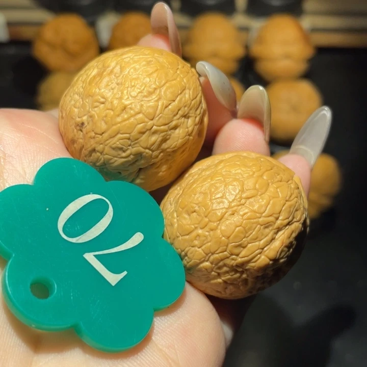 魔丸31尺寸核桃。