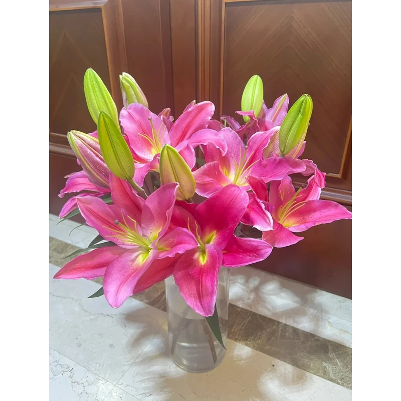 [鸿运当头]香水百合 一单包邮 云南鲜花昆明基地现采现发