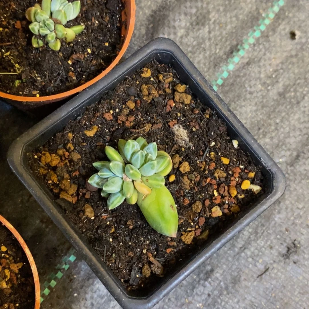 也要拍多大点事啊