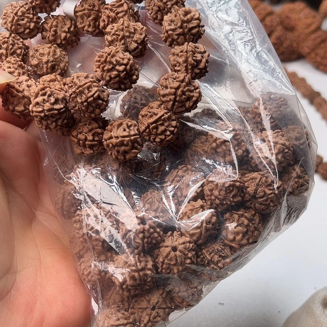 手串金刚菩提16龙牙六瓣不退不换