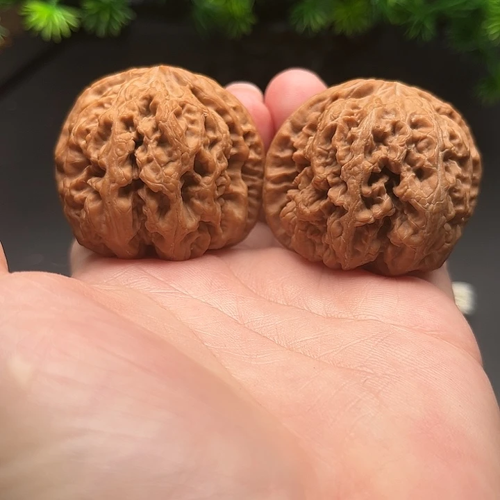 核桃文玩核桃小粗筋44