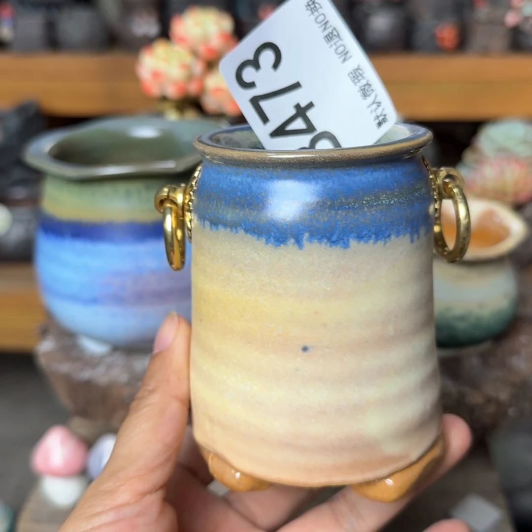 重庆小燕子欢迎大家473