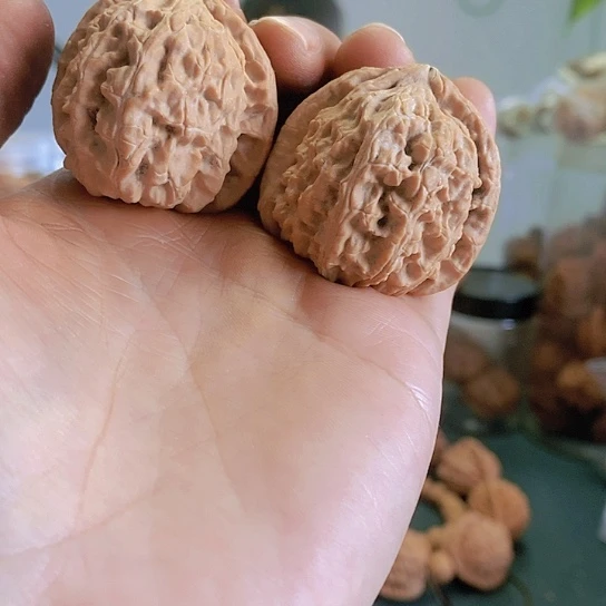 【闪购商品】把件文玩核桃38白狮子
