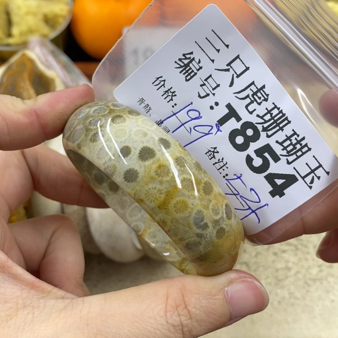 硅化珊瑚（珊瑚玉）1未镶嵌煊**i