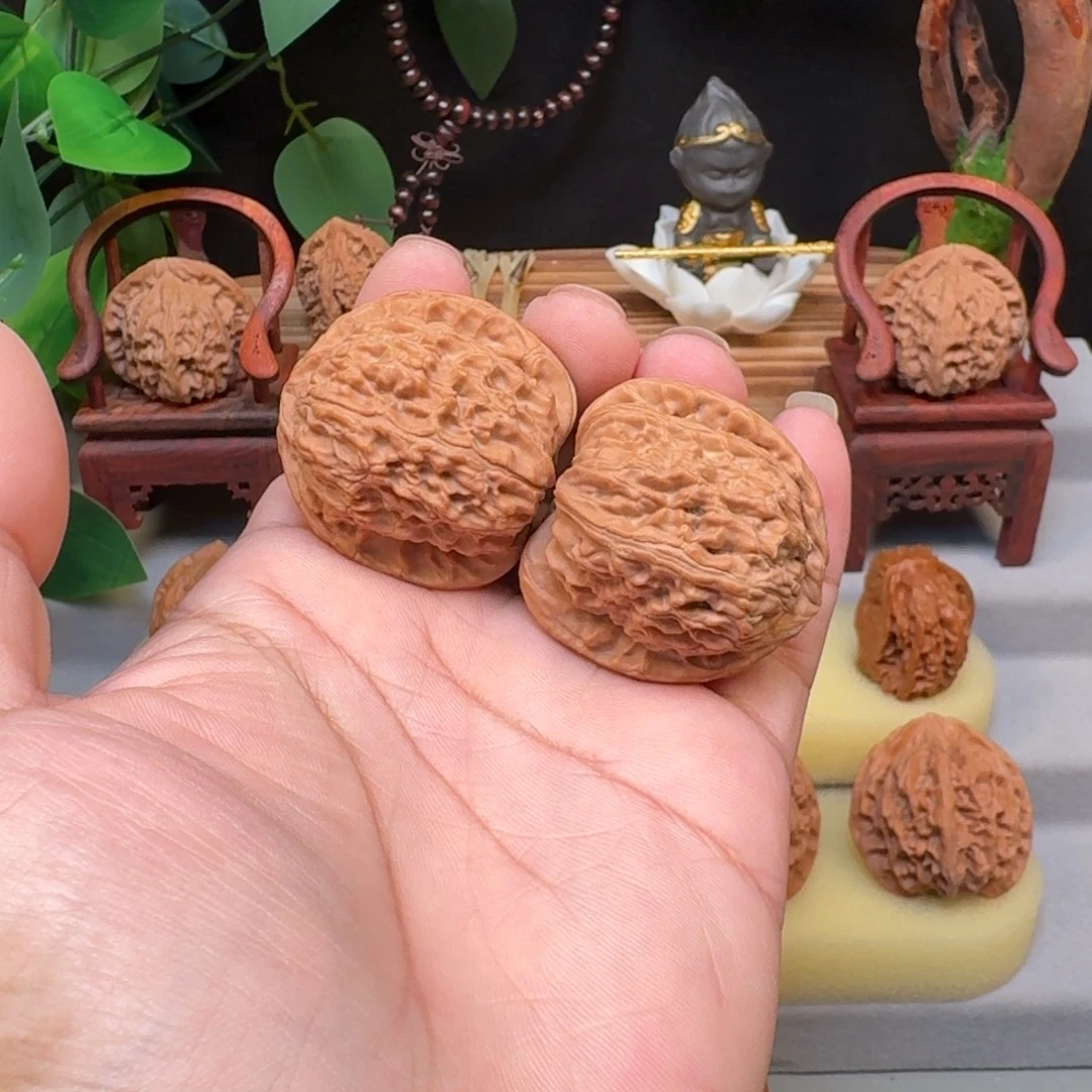 把件文玩核桃—38白狮子