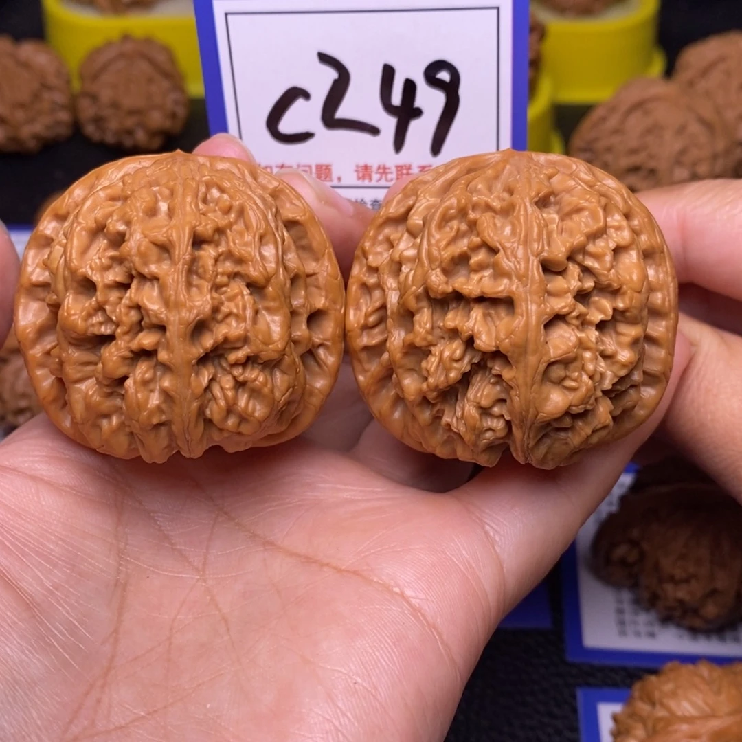 文玩核桃把件46.5粗筋c249
