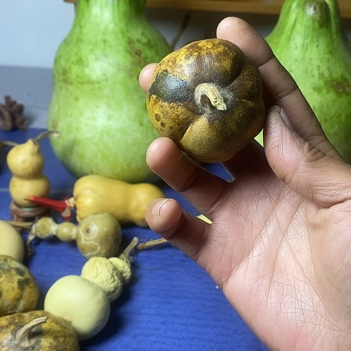 术***语嘎达葫芦手把件花皮