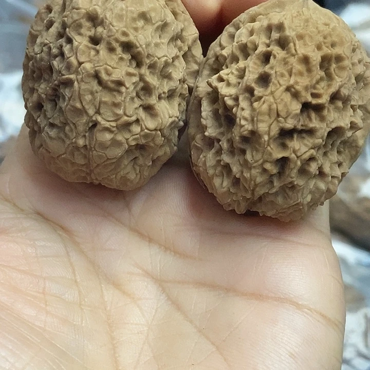 文玩核桃把件云南铁核桃基地66
